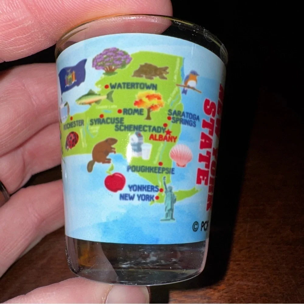 All Over Graphic Print New York State Souvenir Shot Glass 2”